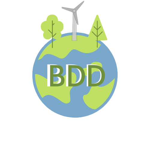 logo BDD 2021