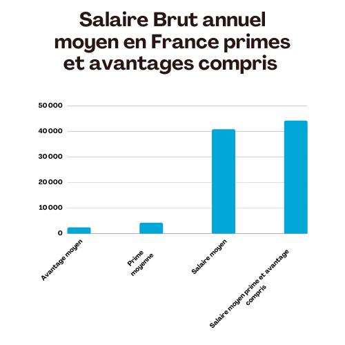 Salaire Brut annuel moyen en France primes et avantages compris